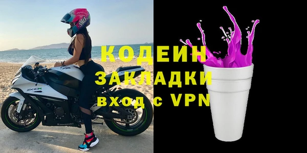 шишки Арсеньев
