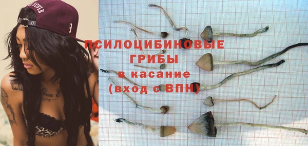 прущая мука Армянск