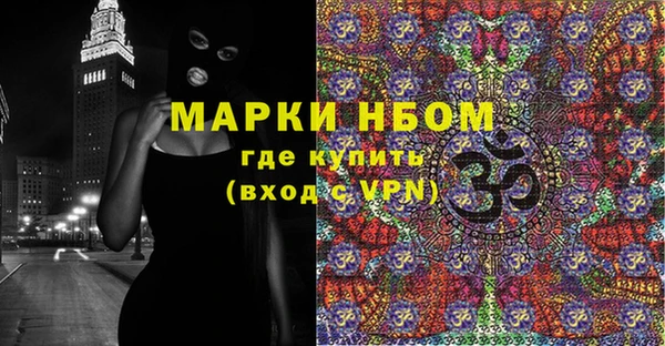 шишки Арсеньев