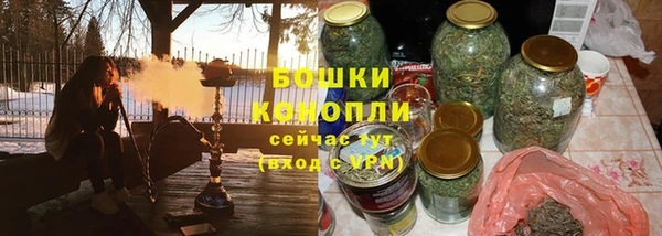 шишки Арсеньев